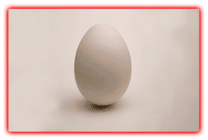 Willkommen bei iPACKAGING